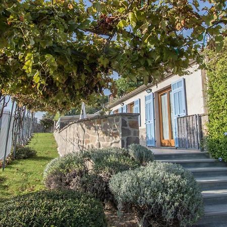 Villa Vigna Camporosso  Dış mekan fotoğraf